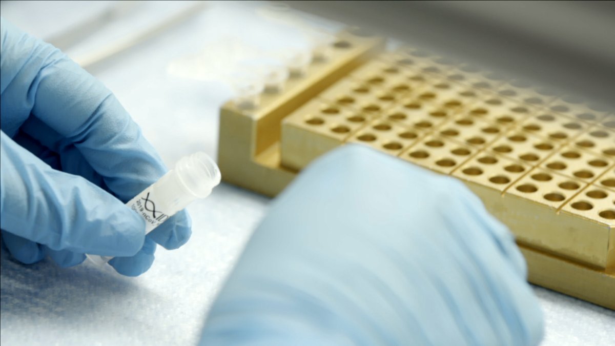 Photo du film Totally Under Control