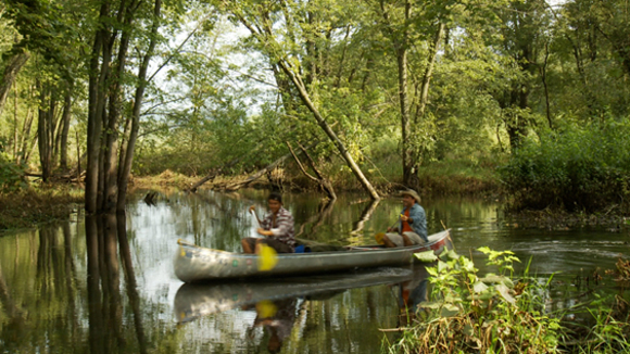 Photo from the movie WaterWalk