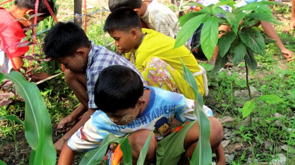 Photo du film All You Need Is Love