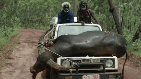 Photo from the movie Charlie's Country
