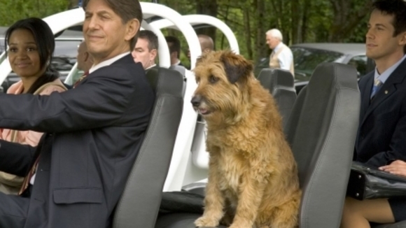 Photo du film Dr. Dolittle: Tail to the Chief