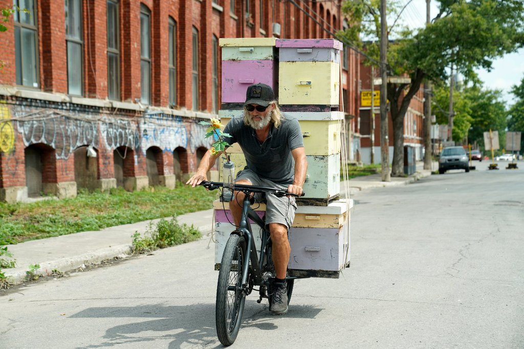 Photo du film Les Fleurs oubliées