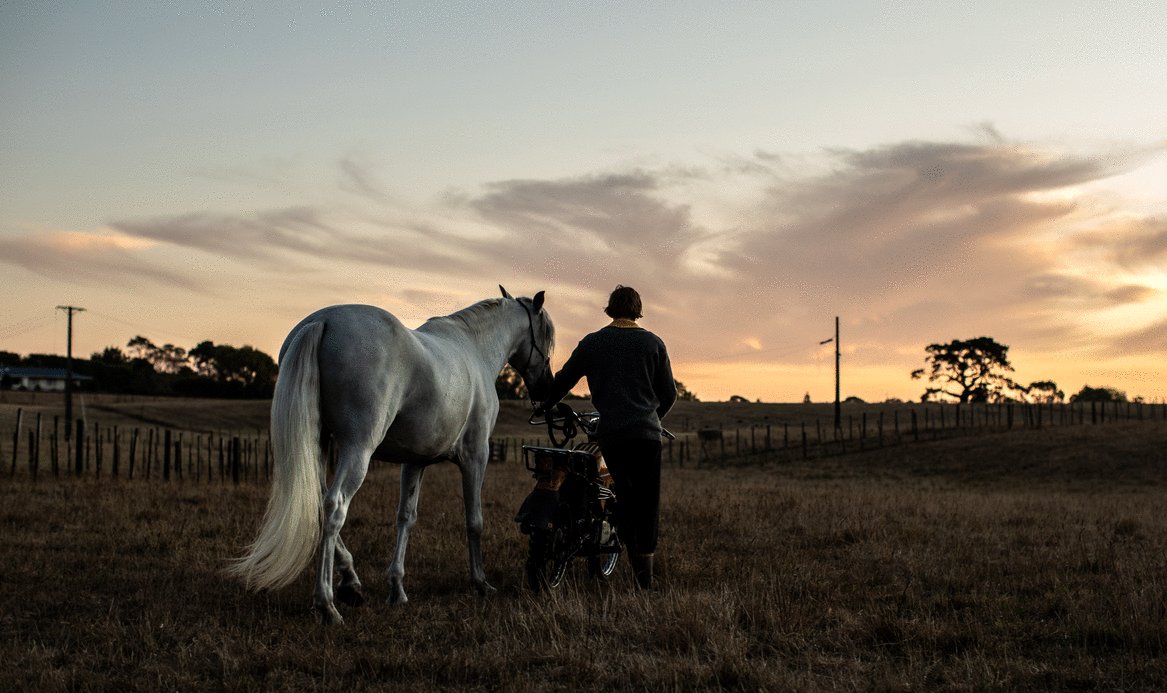 Photo du film Le passé retrouvé
