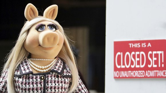 Photo from the movie The Muppets.