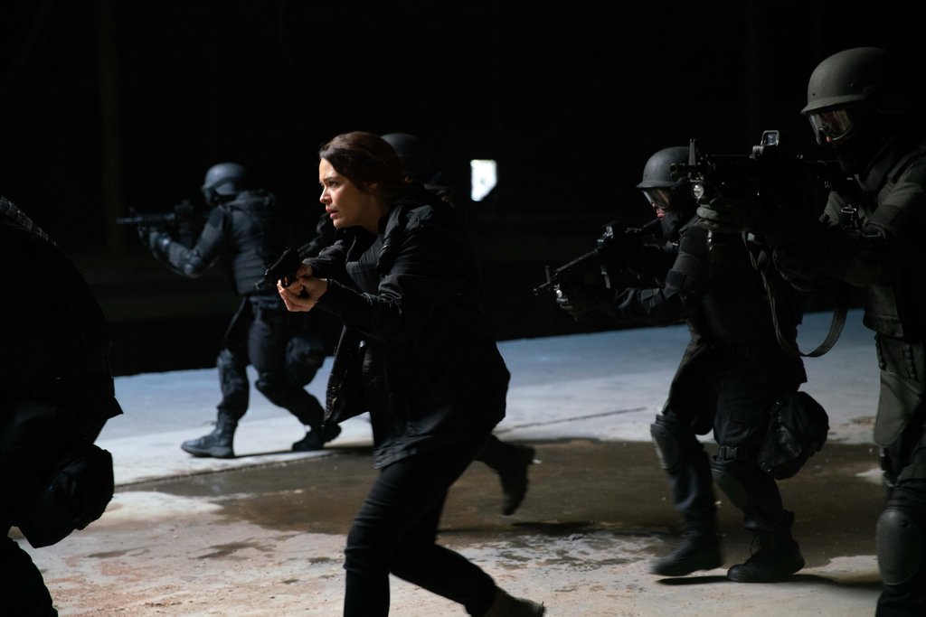 Photo from the movie Stray