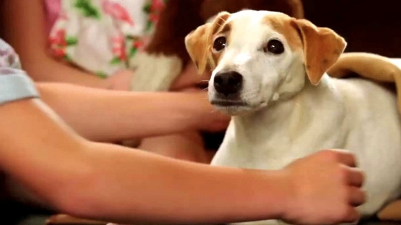 Photo du film Russell Madness