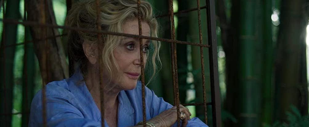 Photo du film Terrible jungle