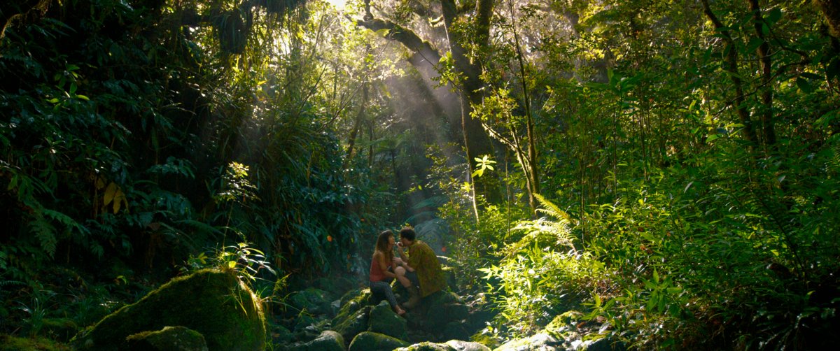 Photo du film Terrible jungle