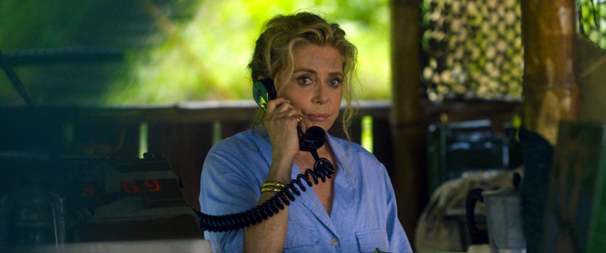 Photo du film Terrible jungle