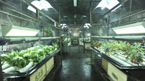 Photo from the movie The Colony