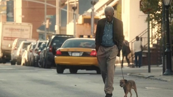 Photo du film Visite Libre