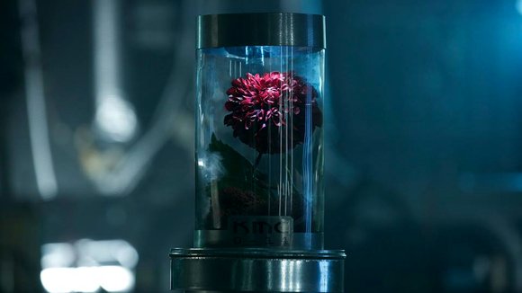 Photo from the movie Synchronicity