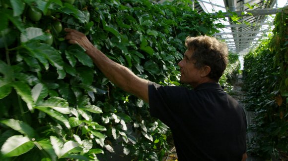 Photo du film Demain