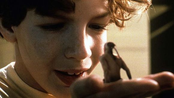 Photo from the movie The Indian in the Cupboard