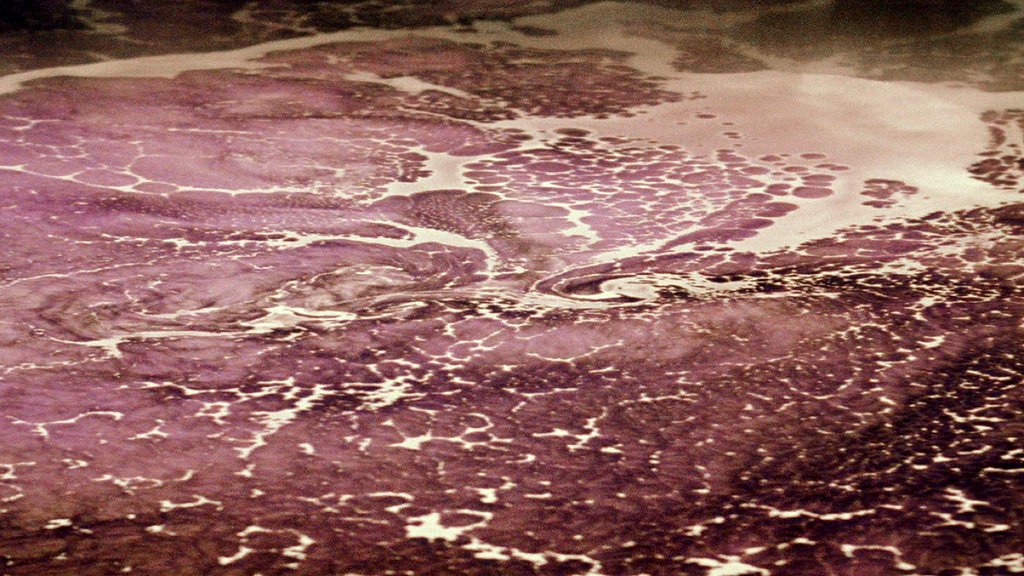 Photo from the movie Solaris