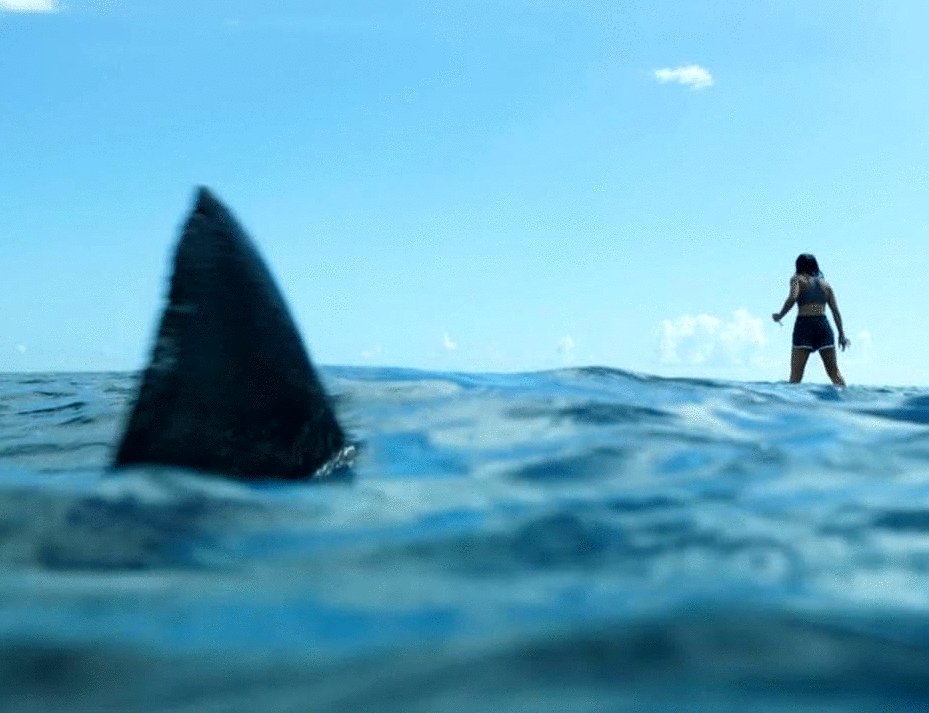 Photo from the movie Something in the Water