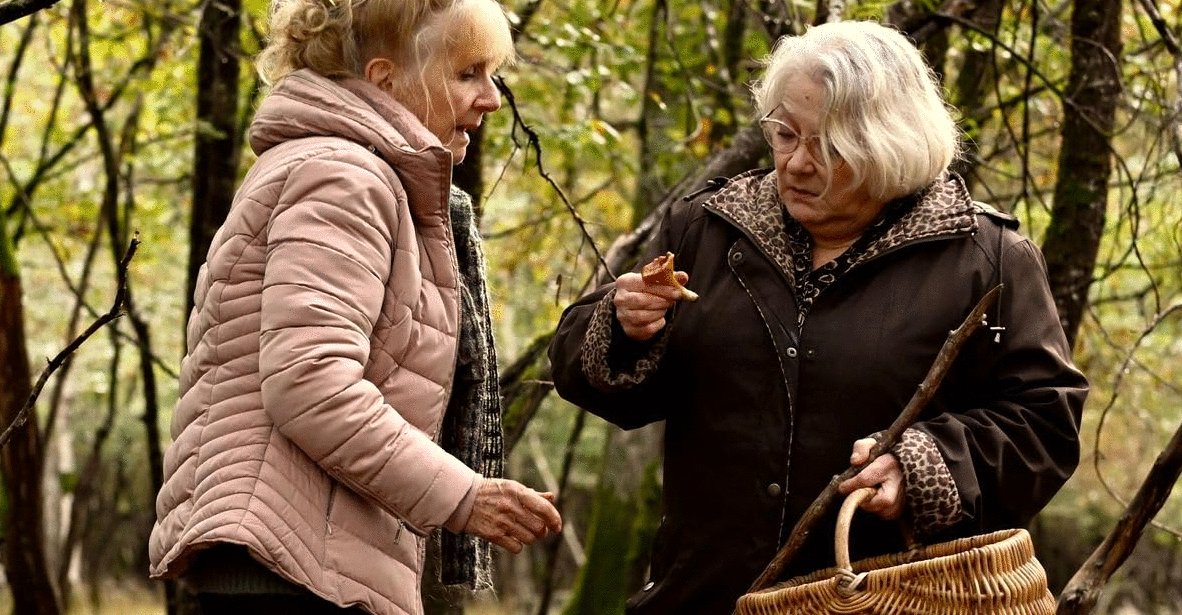 Photo du film Quand vient l'automne