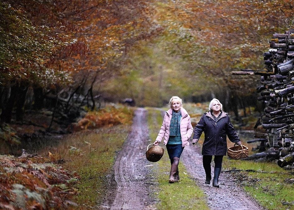 Photo du film Quand vient l'automne