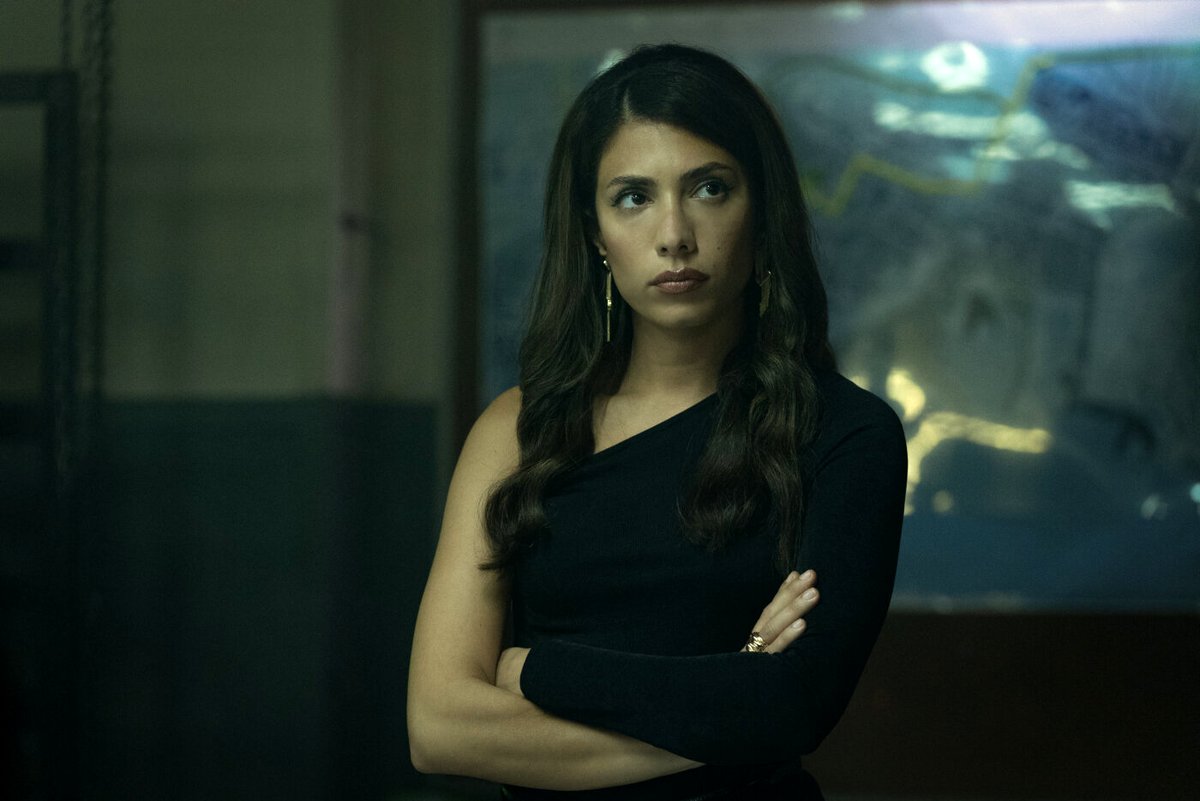 Photo du film À armes égales 2: Opération Pantera