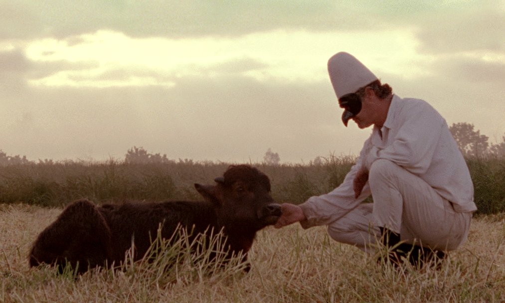 Photo from the movie Lost and Beautiful