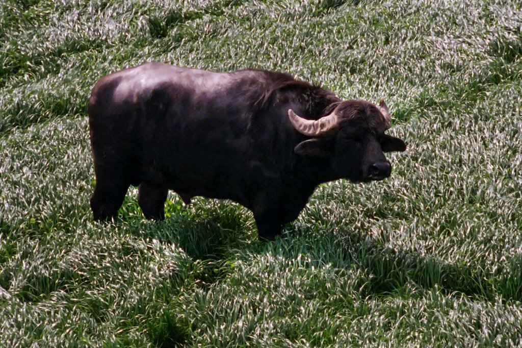 Photo from the movie Lost and Beautiful