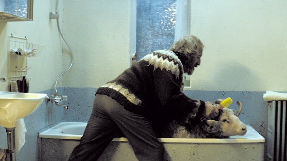 Photo du film Béliers