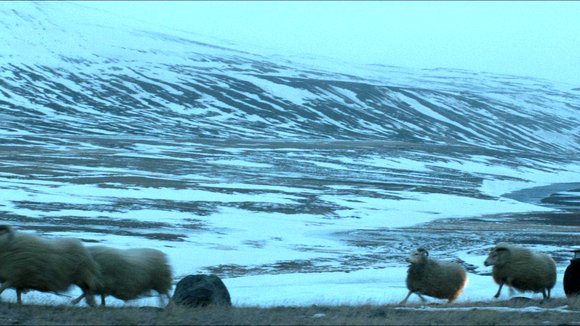 Photo du film Béliers