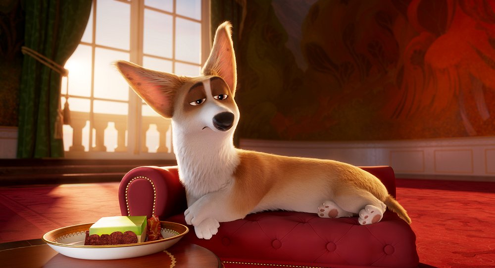 Photo du film Royal Corgi