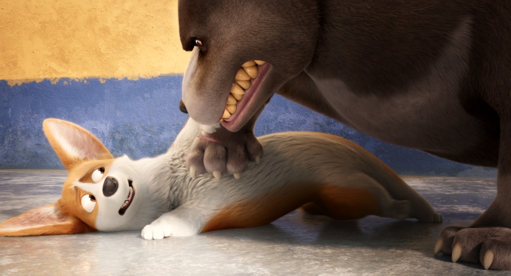 Photo du film Royal Corgi