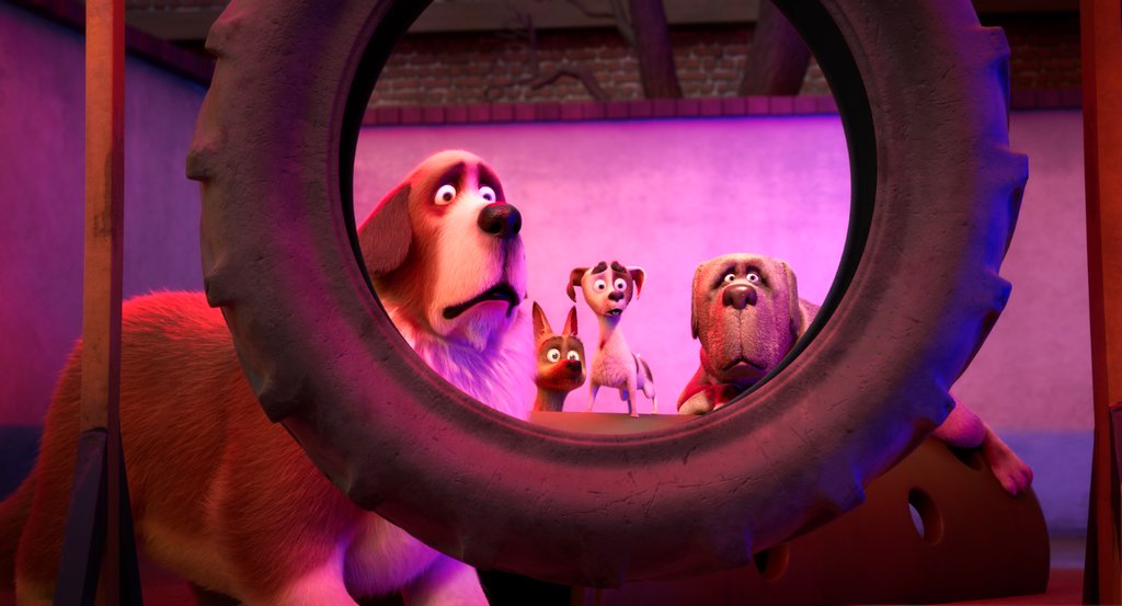 Photo du film Royal Corgi