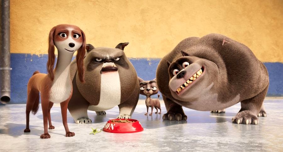 Photo du film Royal Corgi