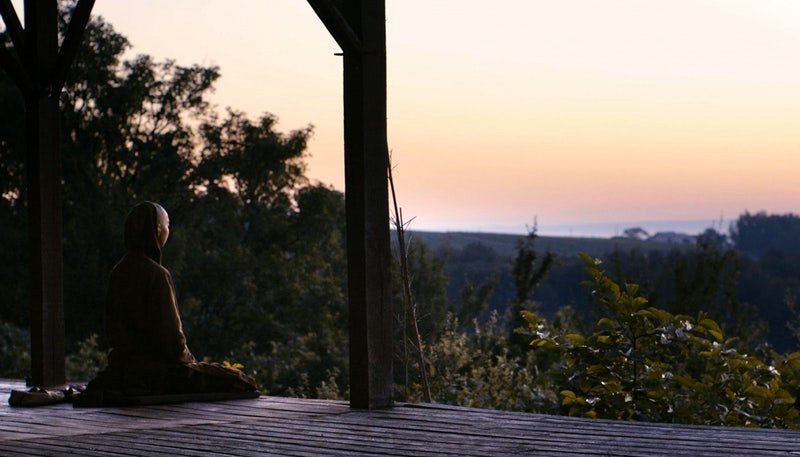 Photo du film Walk with Me