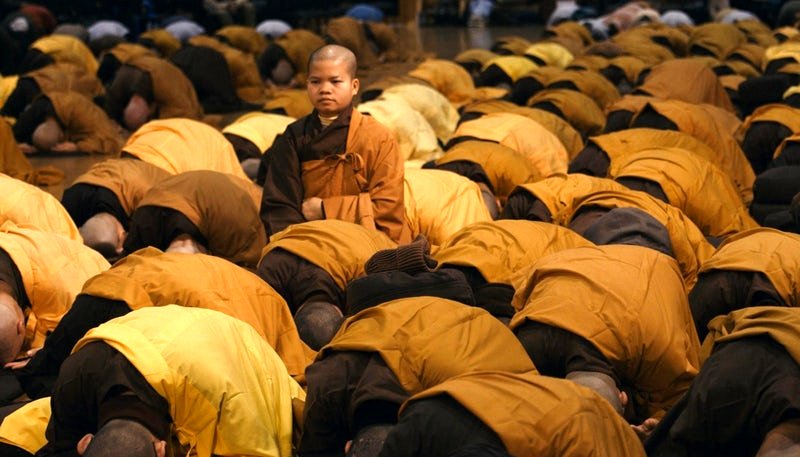 Photo du film Walk with Me