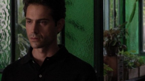 Photo du film The City of Your Final Destination