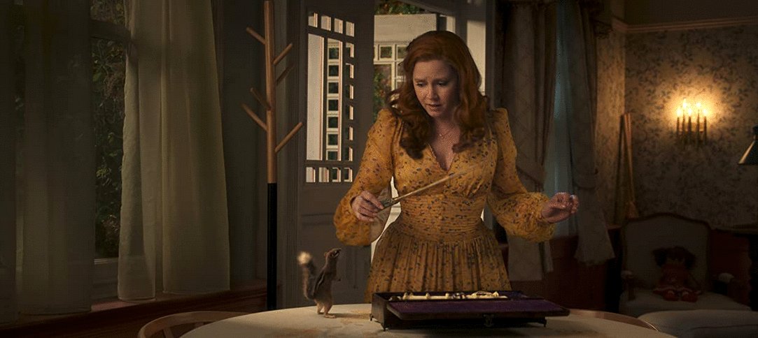 Photo du film Disenchanted