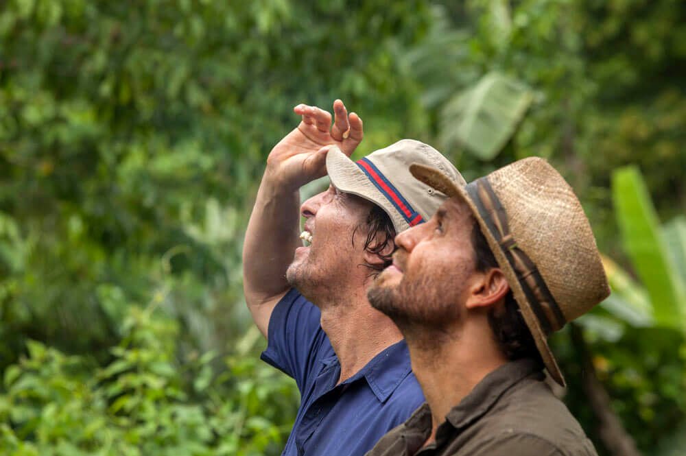 Photo from the movie Gold