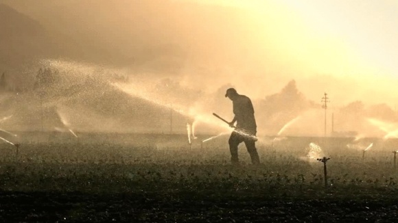 Photo from the movie Just Eat It: A Food Waste Story [2014]