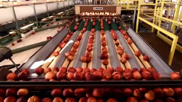 Photo from the movie Just Eat It: A Food Waste Story [2014]