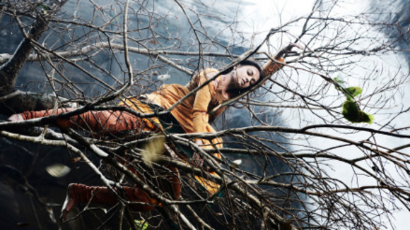 Photo du film Raavanan