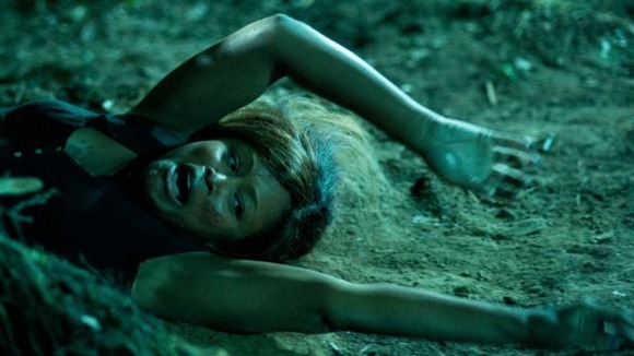 Photo du film Animal