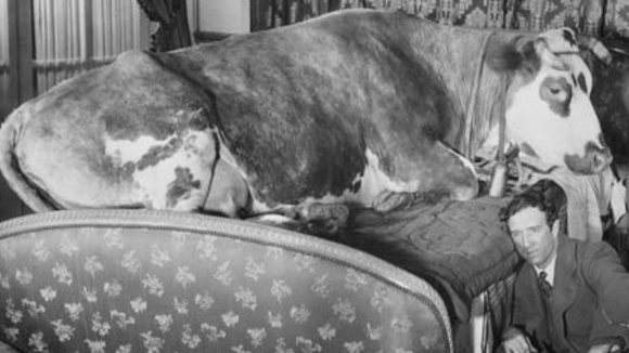 Photo from the movie The Golden Age