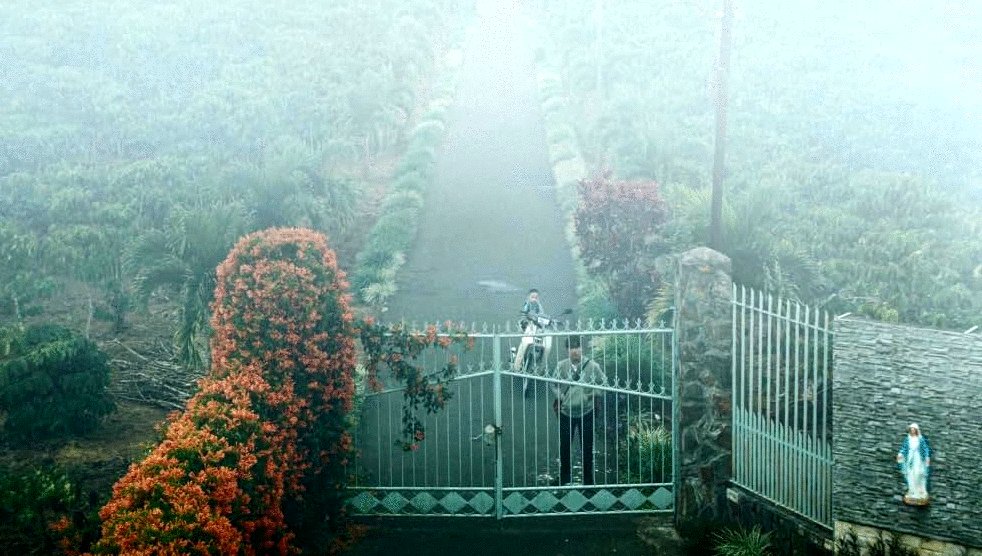 Photo from the movie L'arbre aux papillons d'or