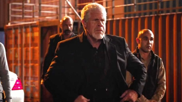 Photo du film Skin Trade