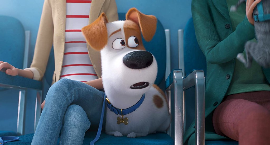 Photo from the movie The Secret Life of Pets 2