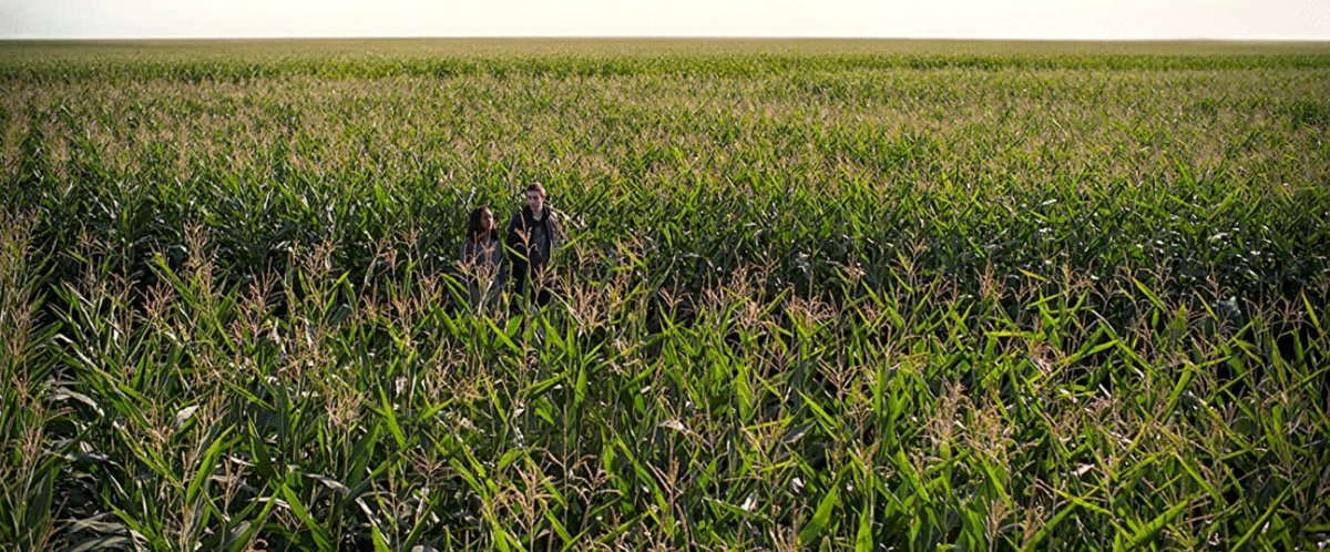 Photo du film There's Someone Inside Your House