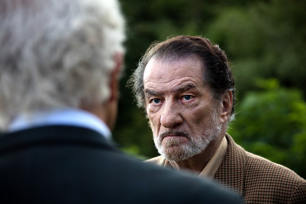 Photo du film Les Vieux fourneaux