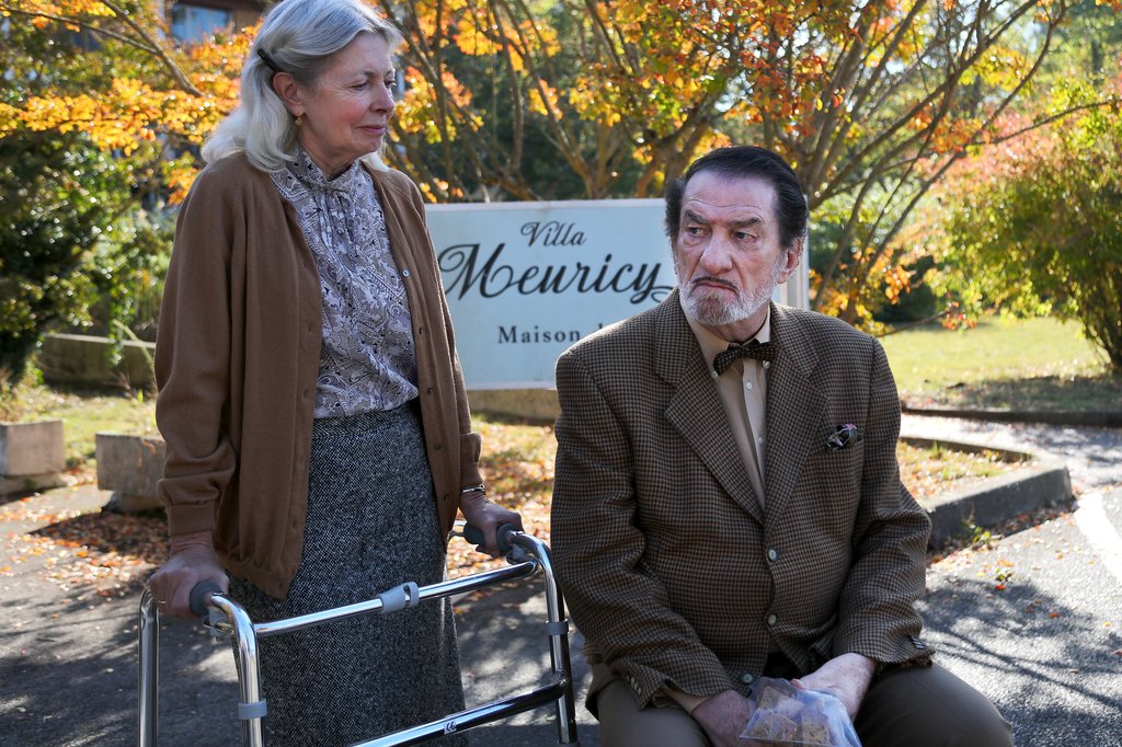 Photo du film Les Vieux fourneaux