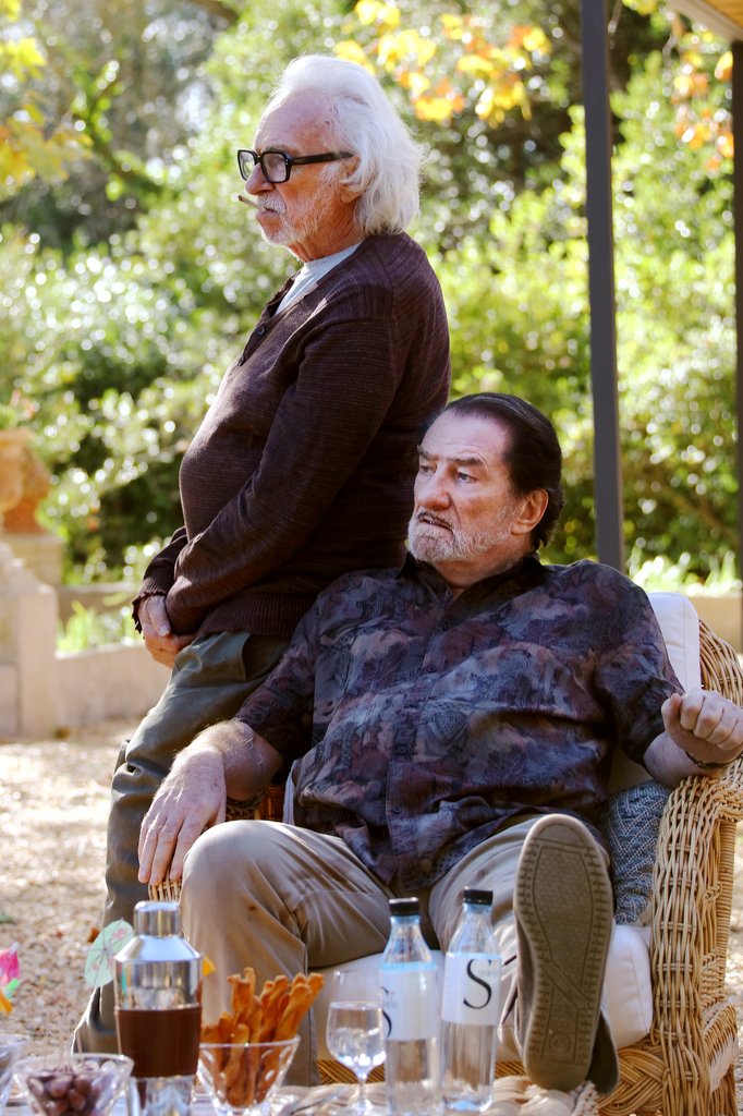 Photo du film Les Vieux fourneaux