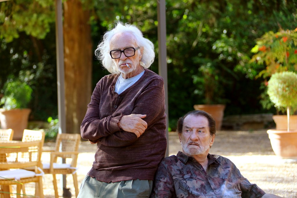 Photo du film Les Vieux fourneaux