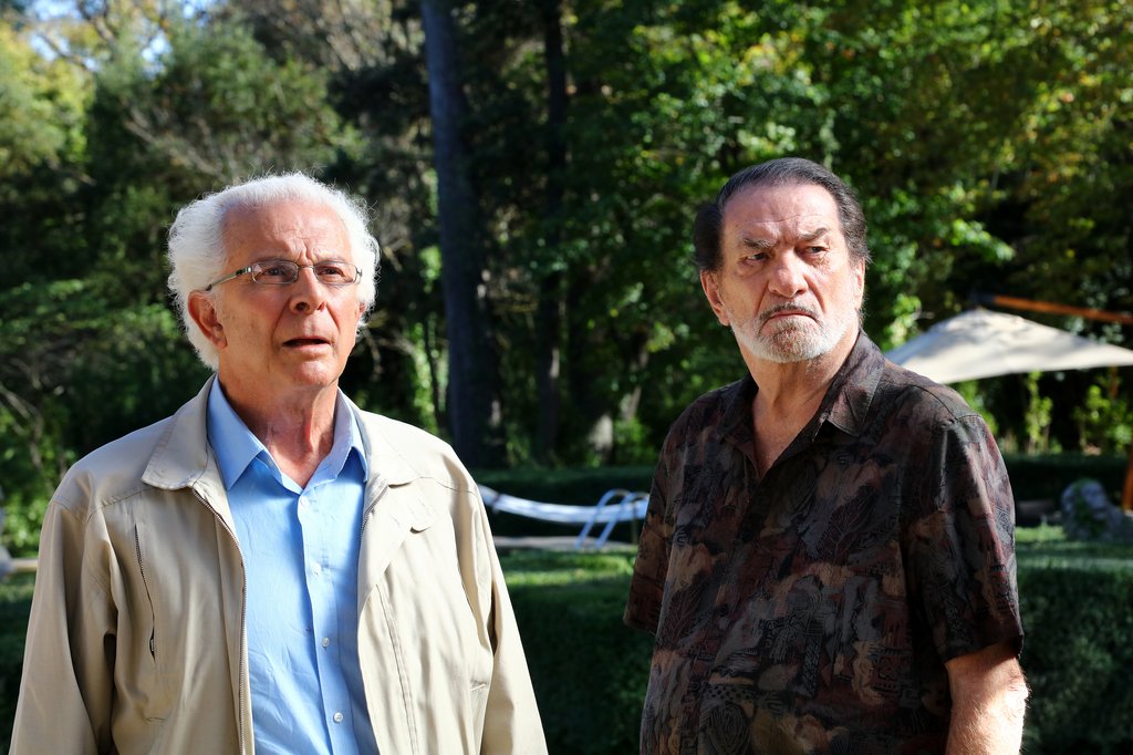 Photo du film Les Vieux fourneaux